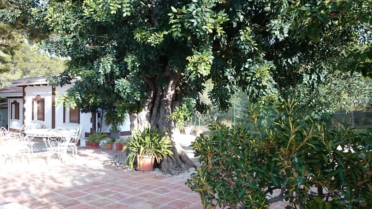 Chabola Casa de vacances *