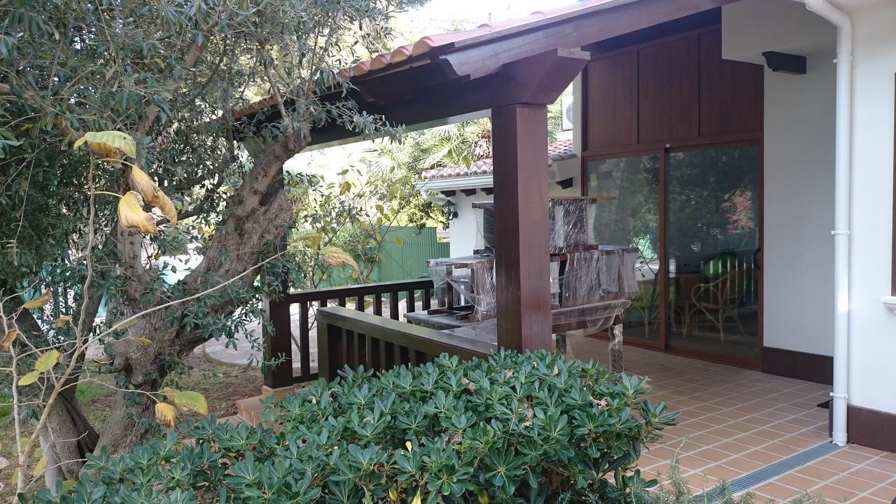 Chabola Dénia