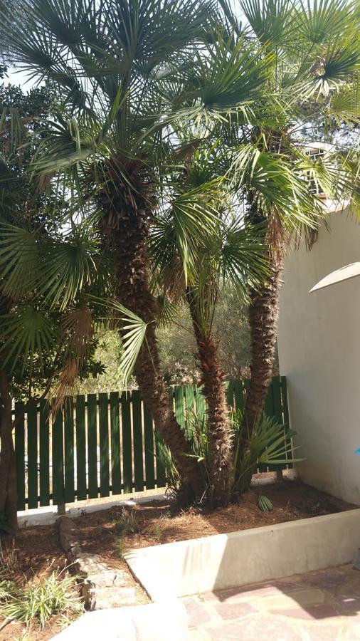 Chabola Casa de vacances Dénia